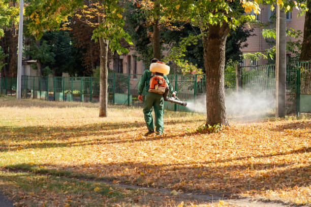 Best Cockroach Control Services  in Eden Prairie, MN