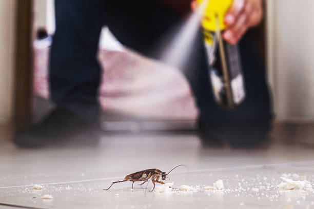 Best Termite Control Services  in Eden Prairie, MN